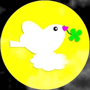 Lucky Bird Channel 吉祥鳥之音